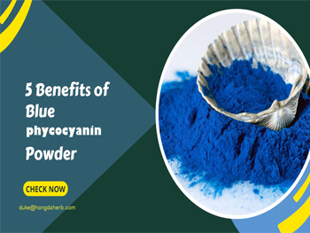 What Are The Benefits Of Phycocyanin Powder？